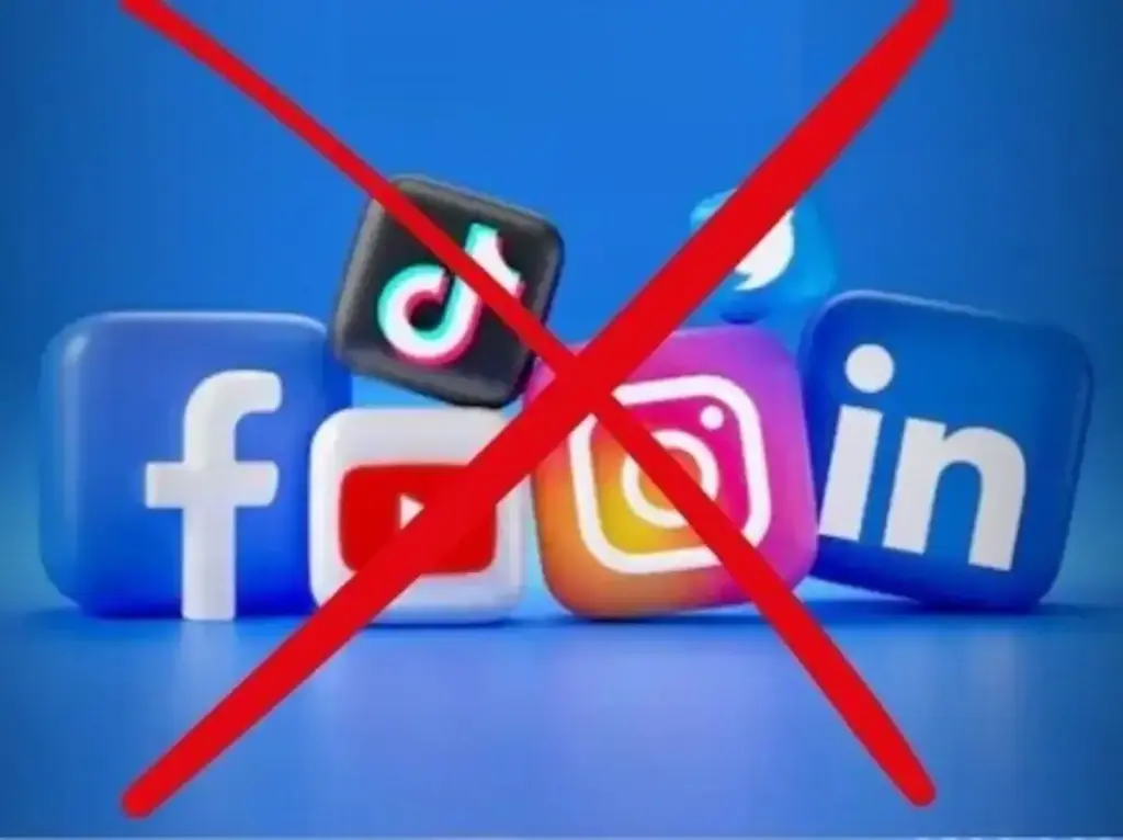 Goa government starts preparations, there may be a big ban on children's social media use