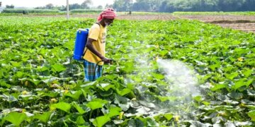 Government issued 14,692 notices to stop misuse of fertilizer, more than 6 thousand licenses canceled
