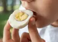 In winter, egg is a superfood to fight cold, increases immunity and removes fatigue, brings warmth to the body.