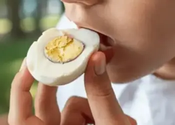 In winter, egg is a superfood to fight cold, increases immunity and removes fatigue, brings warmth to the body.