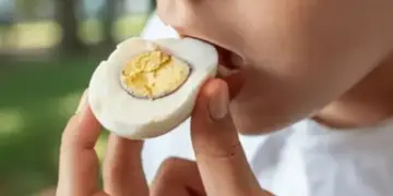 In winter, egg is a superfood to fight cold, increases immunity and removes fatigue, brings warmth to the body.