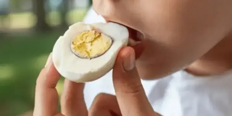 In winter, egg is a superfood to fight cold, increases immunity and removes fatigue, brings warmth to the body.