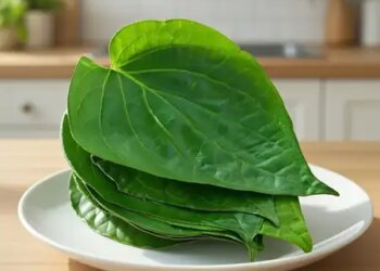 Is fried food causing harm to health? Betel leaf can strengthen the digestive system