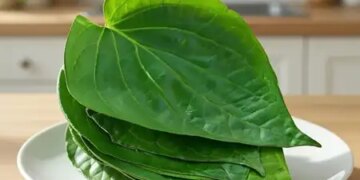 Is fried food causing harm to health? Betel leaf can strengthen the digestive system