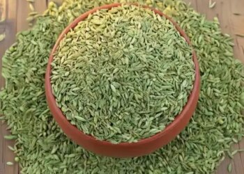Is gray hair becoming a problem at an early age? Fennel will give natural hair color to hair
