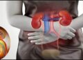 Kidney Disease Alert: If you feel pain at these places in the body, then understand that there is a danger to kidney health.