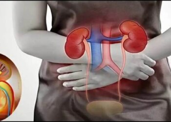 Kidney Disease Alert: If you feel pain at these places in the body, then understand that there is a danger to kidney health.