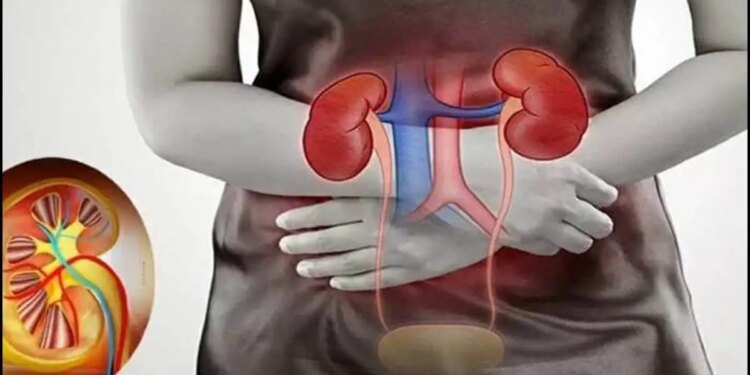 Kidney Disease Alert: If you feel pain at these places in the body, then understand that there is a danger to kidney health.