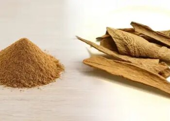 Lodhra: Ayurveda's powerful herbal medicine for skin and women's health, know its benefits.
