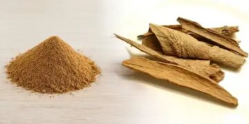 Lodhra: Ayurveda's powerful herbal medicine for skin and women's health, know its benefits.