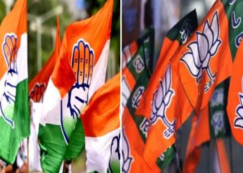 Maharashtra: BJP forms alliance with Congress and AIMIM in municipal bodies, Fadnavis warns