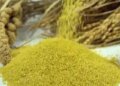 Mann Ki Baat: PM Modi said about millets - it is combining tradition, health and employment together.
