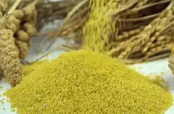 Mann Ki Baat: PM Modi said about millets - it is combining tradition, health and employment together.