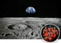 NASA’s Artemis II mission: Send your name to the moon for free, know the complete process and launch date
