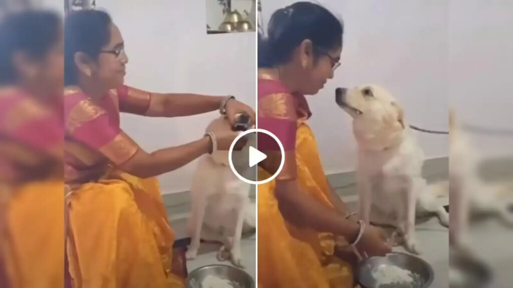 Never seen such a bond between a human and a dog! Woman fed pulses and rice to dog like a child, watch video