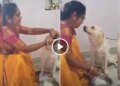 Never seen such a bond between a human and a dog! Woman fed pulses and rice to dog like a child, watch video