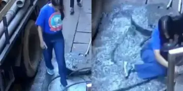 No woman will speak, the girl made a mistake despite seeing everything, the video went viral and people also reacted