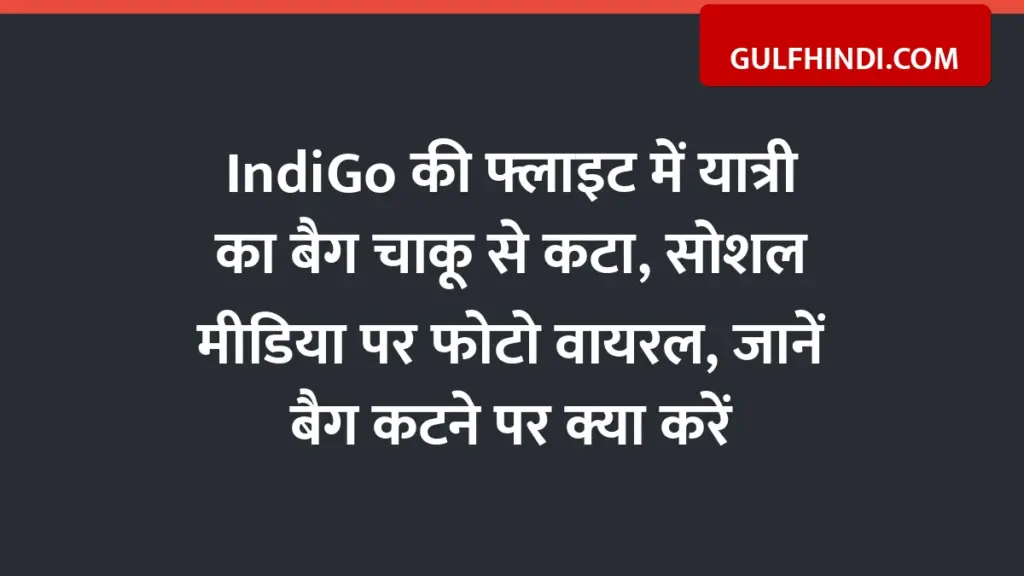 Passenger's bag cut with knife in IndiGo flight, photo goes viral on social media, know what to do if bag is cut