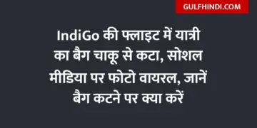 Passenger's bag cut with knife in IndiGo flight, photo goes viral on social media, know what to do if bag is cut