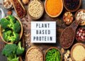 Plant based protein is better than non-vegetarian protein, know the method of consumption