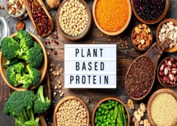 Plant based protein is better than non-vegetarian protein, know the method of consumption