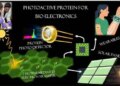 Scientists discover natural protein that could change the future of electronic materials
