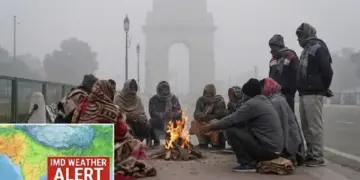 Severe cold in Delhi-NCR, mercury reaches 2 degrees in Noida, cold wave will continue for now