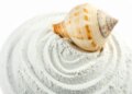Shankh Bhasma: Shankh Bhasma is rich in calcium, gives new life to bones and joints.