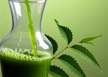 Sweet properties of bitter neem: benefits and precautions of consuming leaf juice