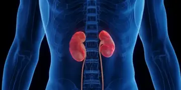 The obsession with staying fit is becoming overwhelming! Cases of kidney failure increased before 40, fitness coach revealed the dangerous truth