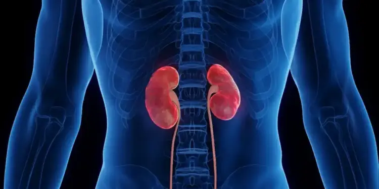 The obsession with staying fit is becoming overwhelming! Cases of kidney failure increased before 40, fitness coach revealed the dangerous truth