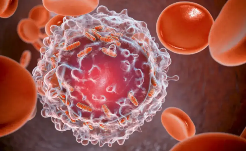 These 6 types of cancer secretly push a person towards death, it takes a long time for the symptoms to appear.