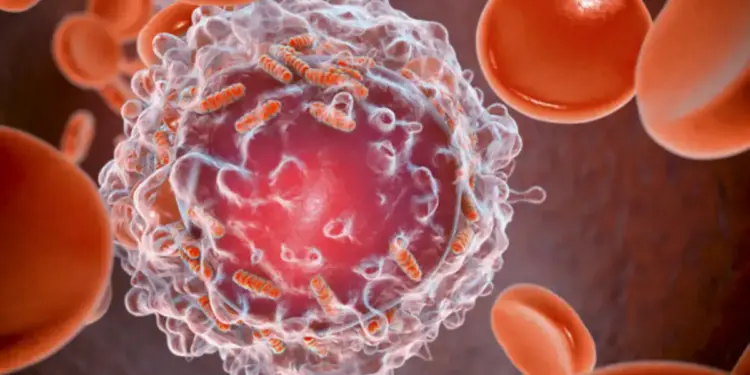 These 6 types of cancer secretly push a person towards death, it takes a long time for the symptoms to appear.