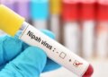 Will Nipah Virus knock in Myanmar? Government has issued the biggest alert till date, read full details here