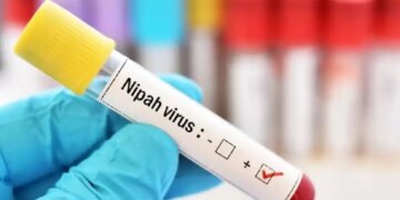 Will Nipah Virus knock in Myanmar? Government has issued the biggest alert till date, read full details here