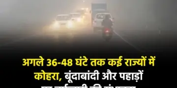 Yellow alert of dense fog in Delhi, 50 trains late, air service affected, weather department warns