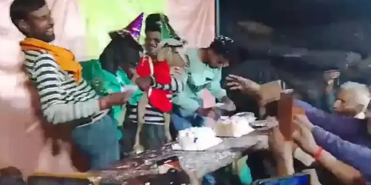 200 people's party and DJ...' Forget humans, this brother has made goats' birthday, video goes viral.