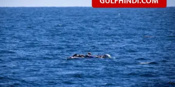 53 people missing in Libyan sea, screams after boat capsized, only 2 women survived