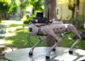 Beyond Robo Dog: The Hollowness of Indian Higher Education