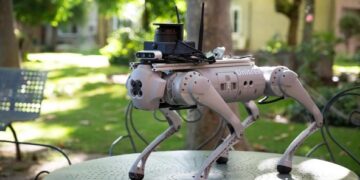 Beyond Robo Dog: The Hollowness of Indian Higher Education