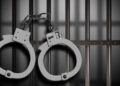 Big action by Lalsot Police: Accused who stole 'Sheshnag' from temple arrested, brass artwork recovered