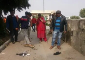 Bird flu alert after the death of crows in Tamil Nadu, people advised to take precautions