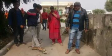 Bird flu alert after the death of crows in Tamil Nadu, people advised to take precautions