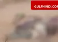 Bloody game of gunmen in Nigeria, killing of 200 people shocked Kwara and Katsina