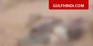 Bloody game of gunmen in Nigeria, killing of 200 people shocked Kwara and Katsina
