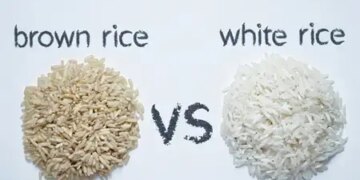 Brown Rice or White Rice: Which Rice is Better for Your Health?