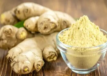 Dry ginger is the 'maha-medicine' of Ayurveda, know its disadvantages before consuming it.