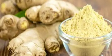 Dry ginger is the 'maha-medicine' of Ayurveda, know its disadvantages before consuming it.