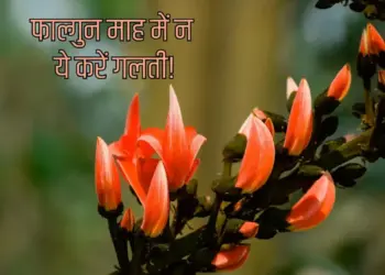 Falgun Maas 2026: Falgun month starts from today, know what should be done in it and what is important to avoid