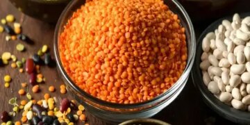 Health benefits of pulses in Ayurveda: Benefits and avoidance of eating moong, lentils, urad, arhar, gram, kidney beans and dry peas.